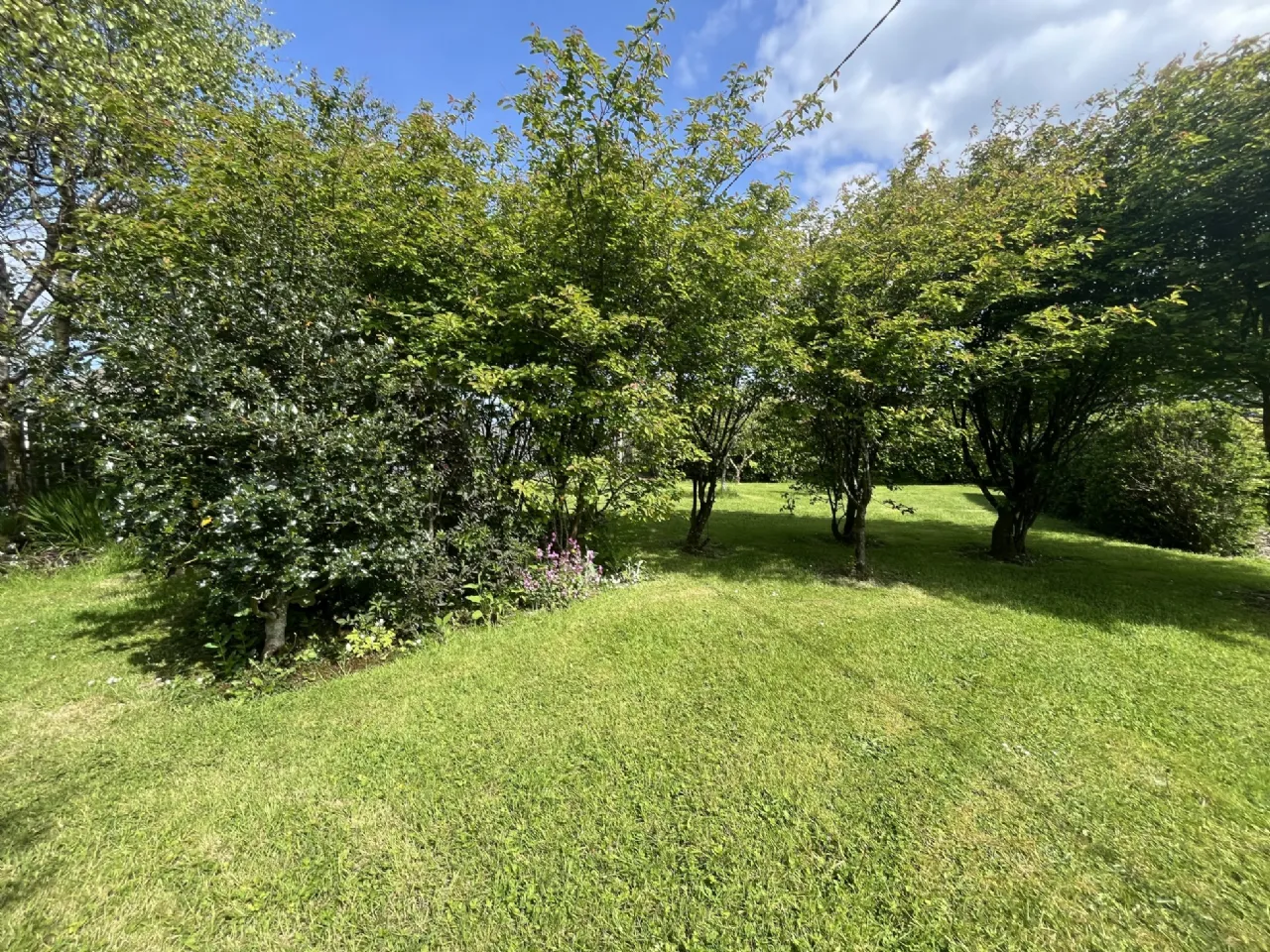 Photo of Woodville, Crossmolina, Co. Mayo, F26 Y430