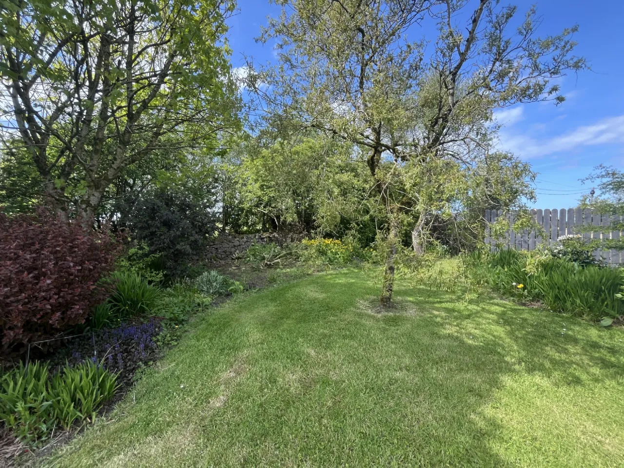 Photo of Woodville, Crossmolina, Co. Mayo, F26 Y430