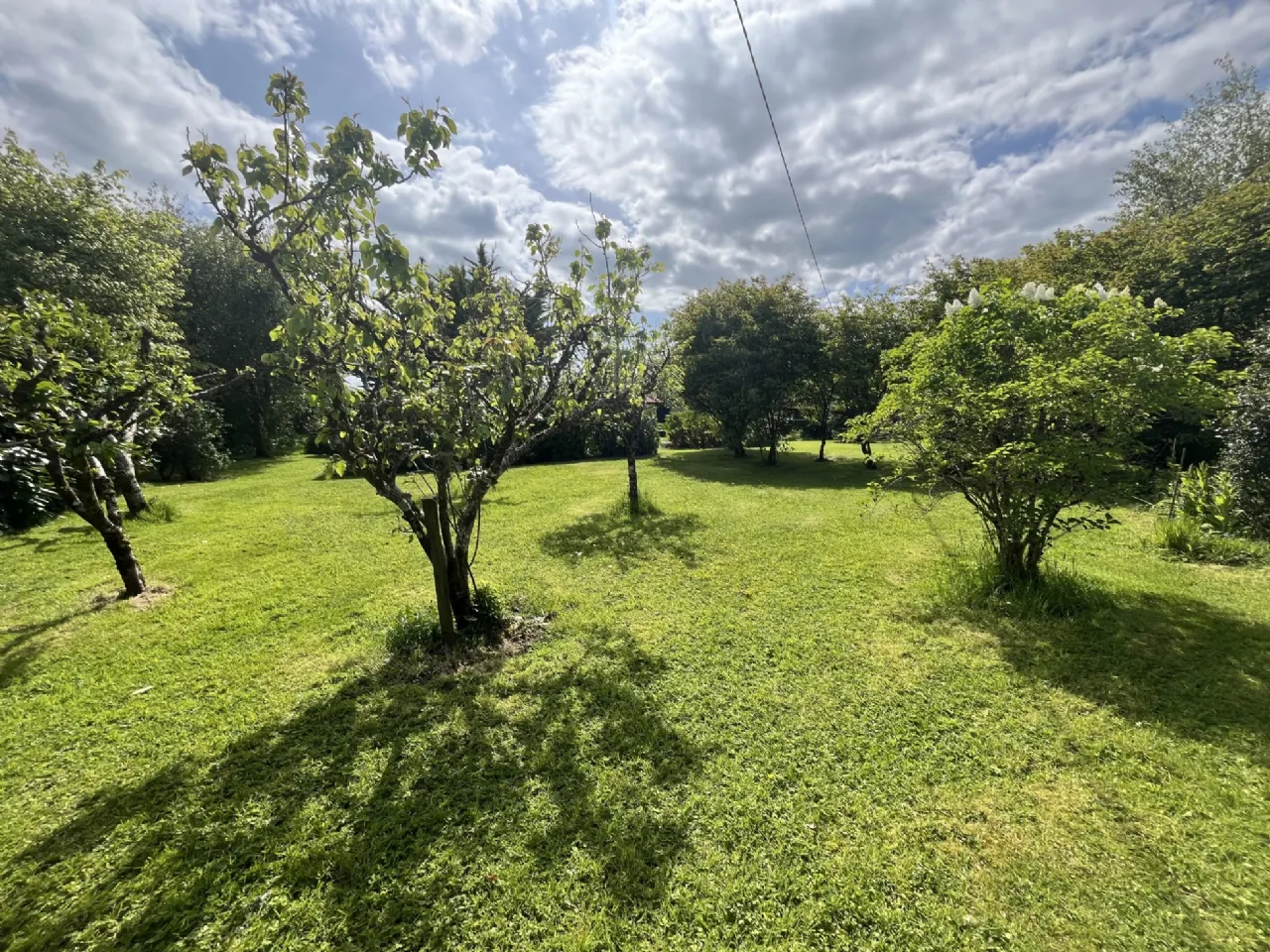 Photo of Woodville, Crossmolina, Co. Mayo, F26 Y430