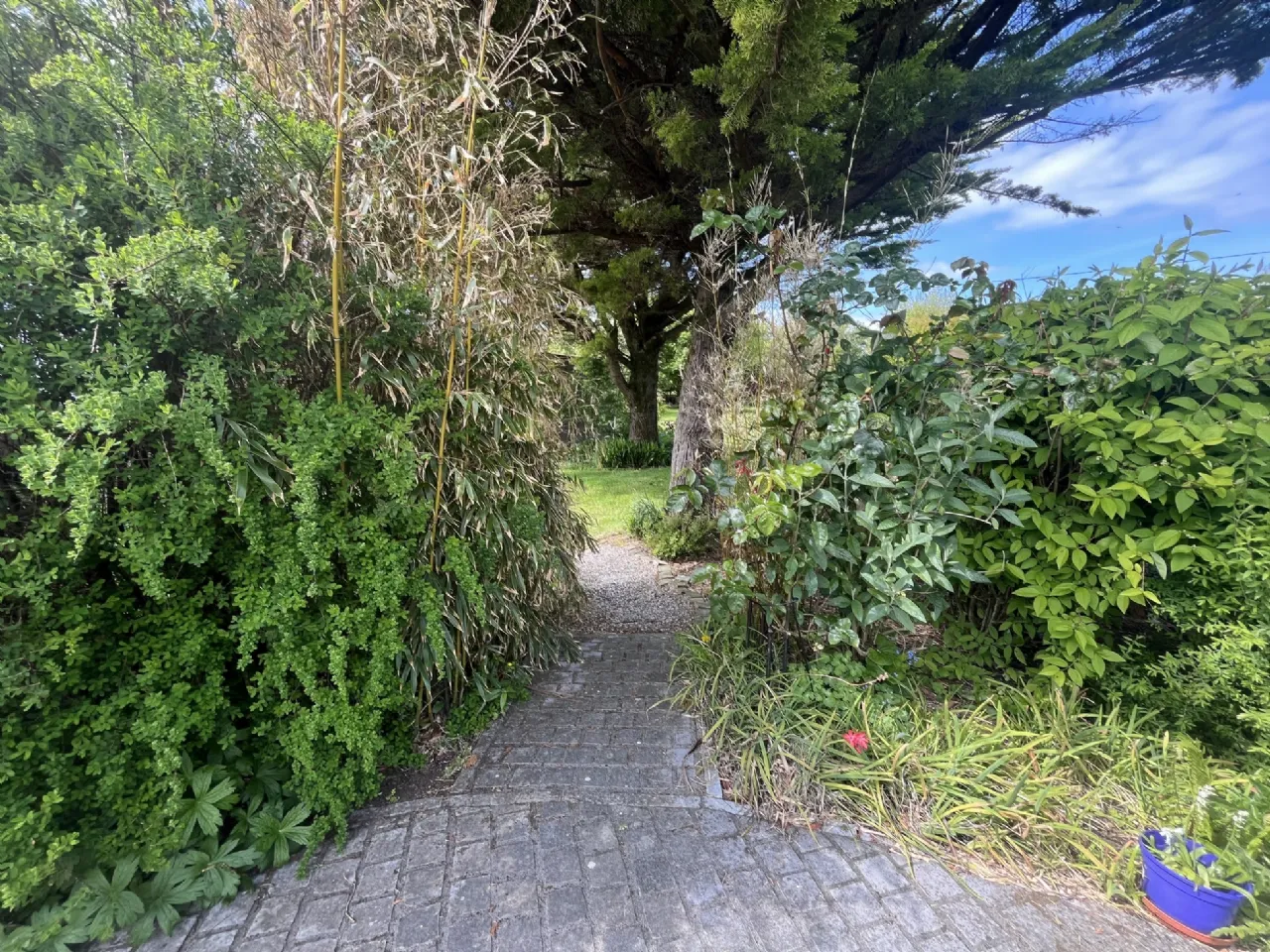 Photo of Woodville, Crossmolina, Co. Mayo, F26 Y430