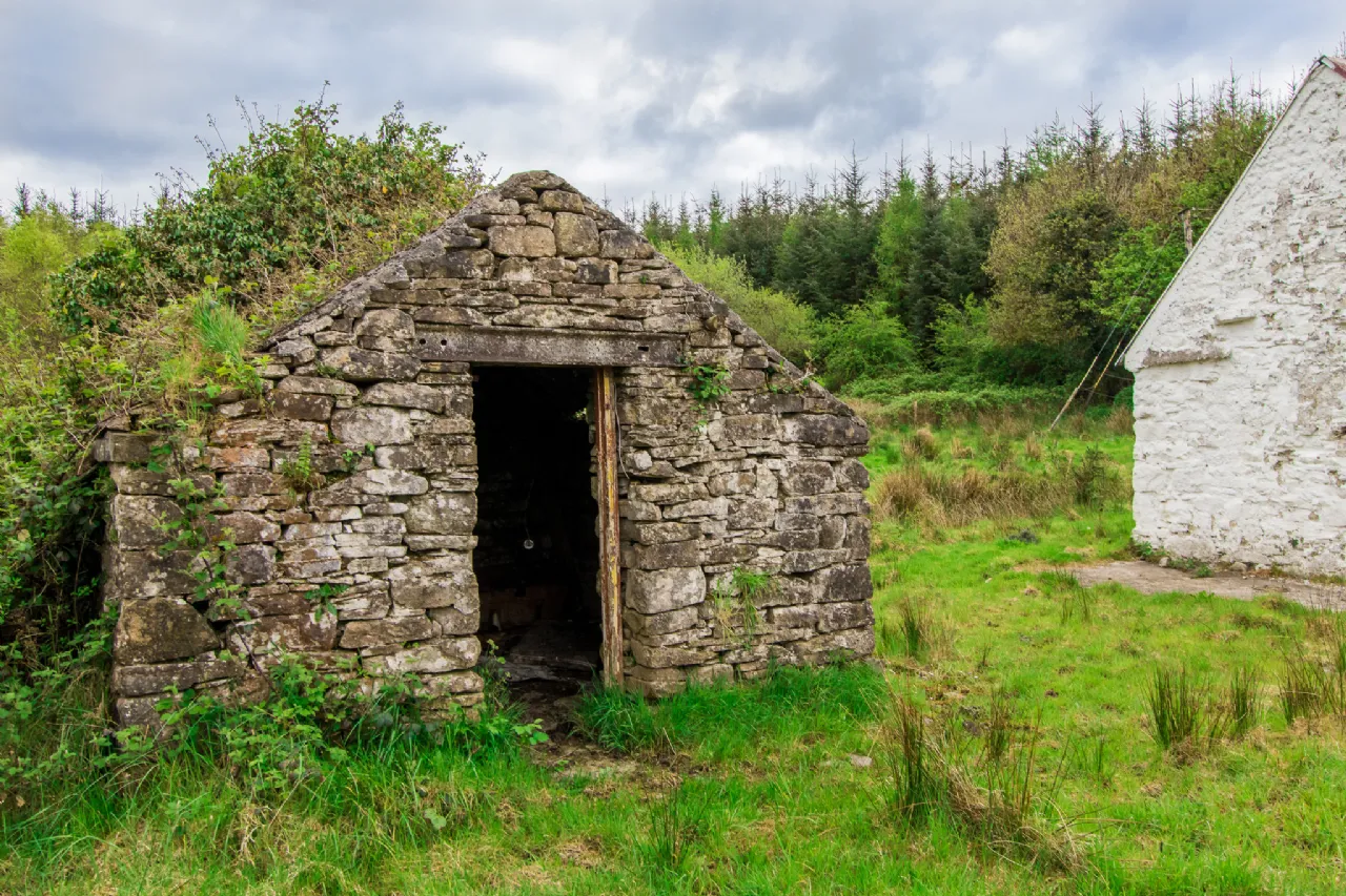 Photo of Leitrim, Frenchpark, Castlerea, Co Roscommon, F45 X462