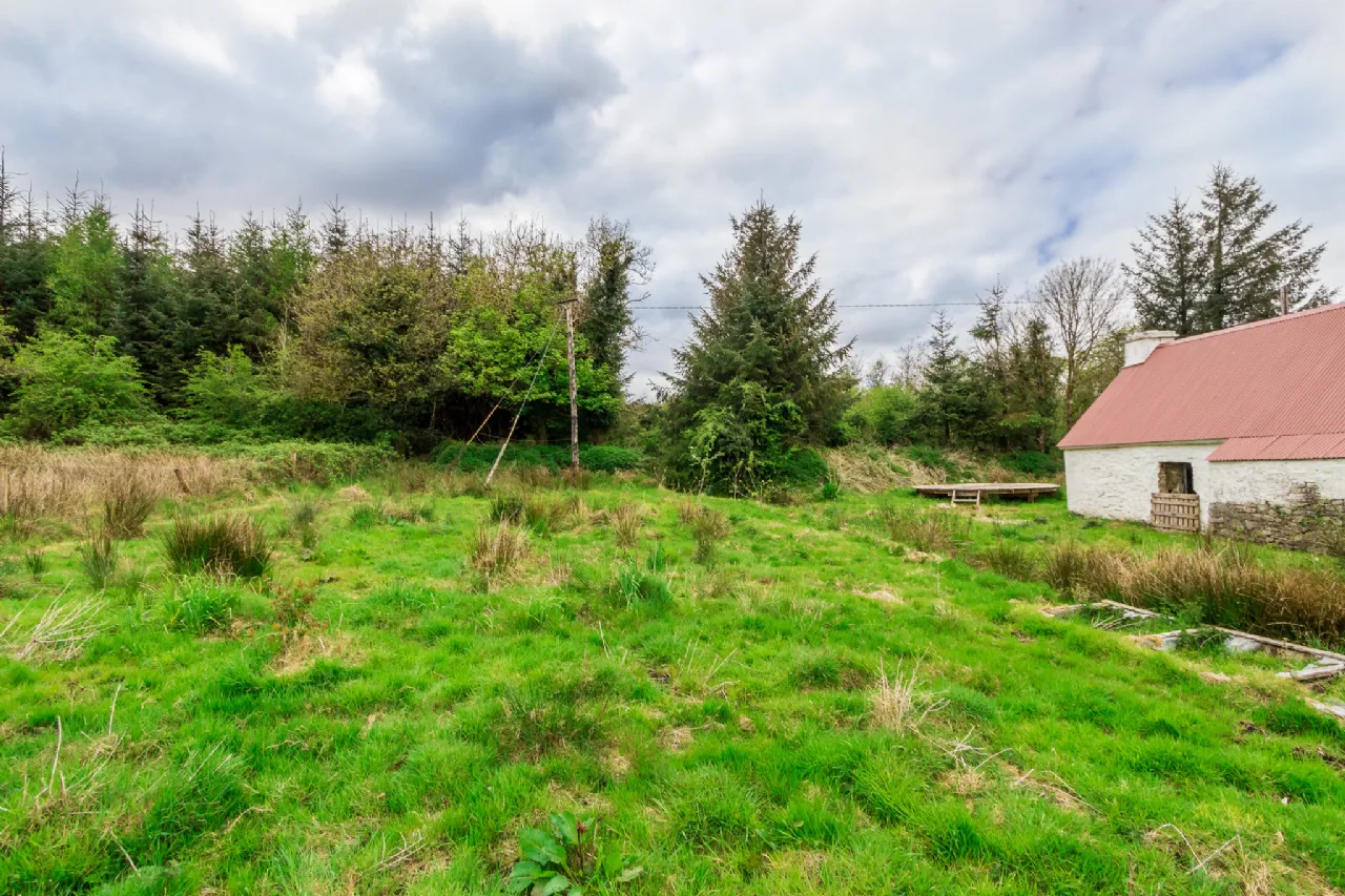 Photo of Leitrim, Frenchpark, Castlerea, Co Roscommon, F45 X462