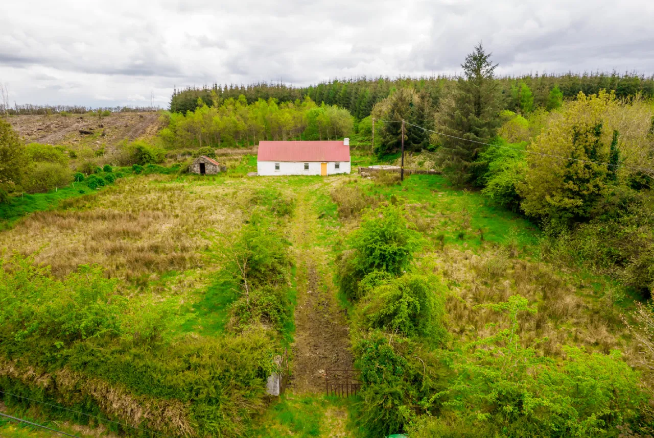 Photo of Leitrim, Frenchpark, Castlerea, Co Roscommon, F45 X462