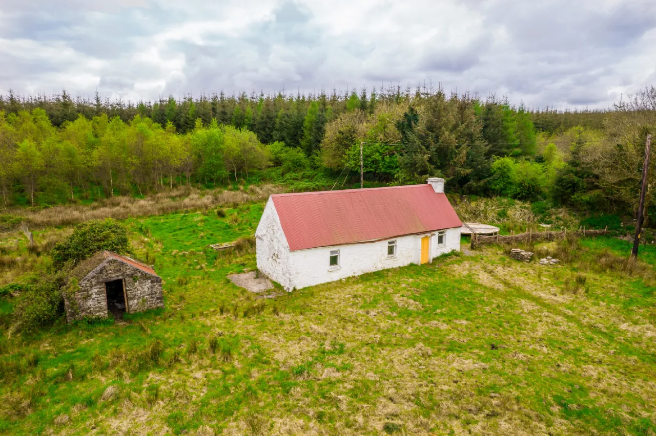 Photo of Leitrim, Frenchpark, Castlerea, Co Roscommon, F45 X462
