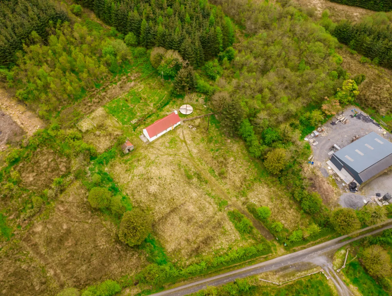 Photo of Leitrim, Frenchpark, Castlerea, Co Roscommon, F45 X462