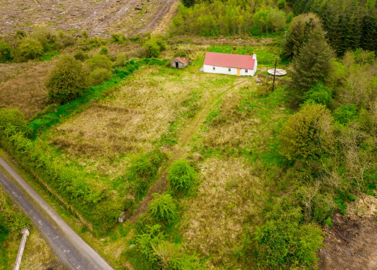 Photo of Leitrim, Frenchpark, Castlerea, Co Roscommon, F45 X462