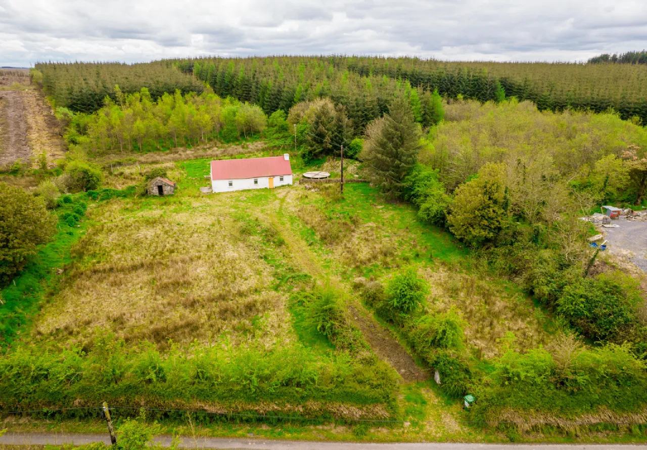 Photo of Leitrim, Frenchpark, Castlerea, Co Roscommon, F45 X462