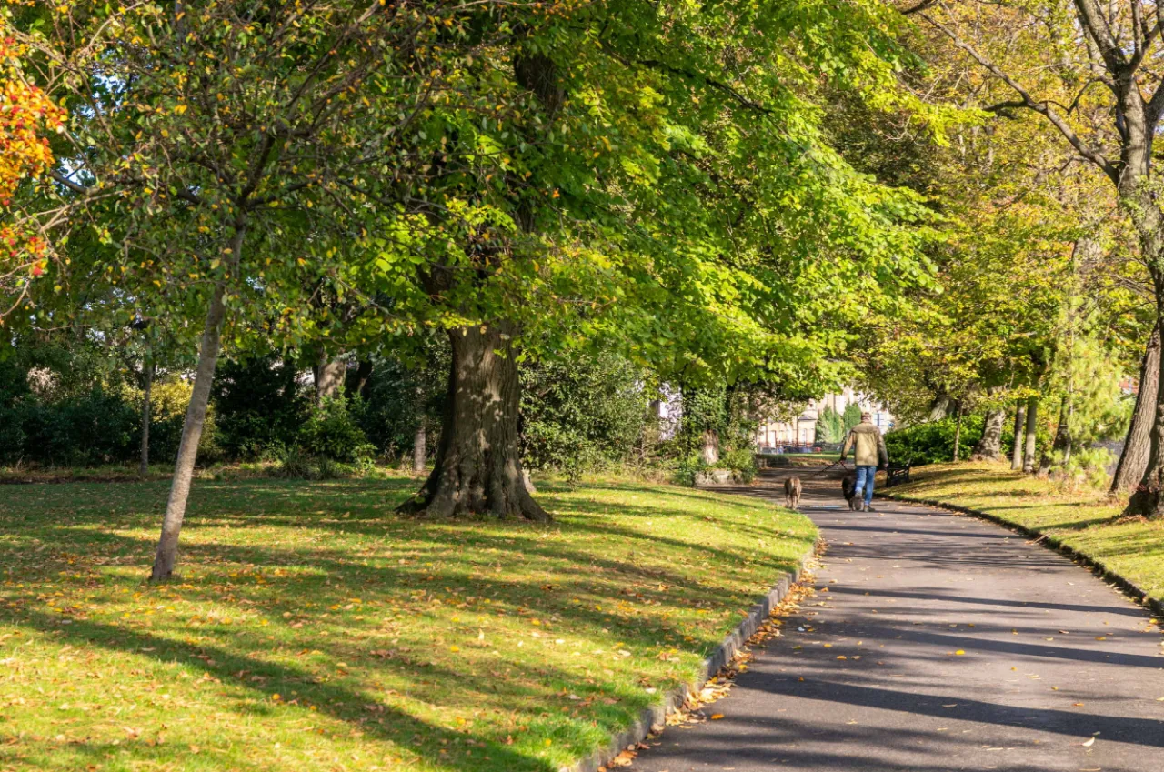 Photo of Apt 6, Parkview, 113 Harold's Cross Road, Dublin 6W, D6W FF90