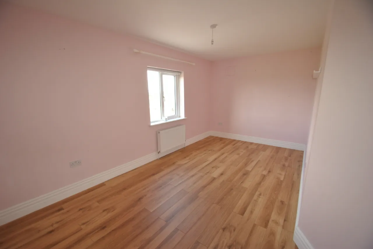 Photo of Rath House On Approx. 8.2 Acres, Ballygague, Ballacolla, Co Laois, R32 XE98