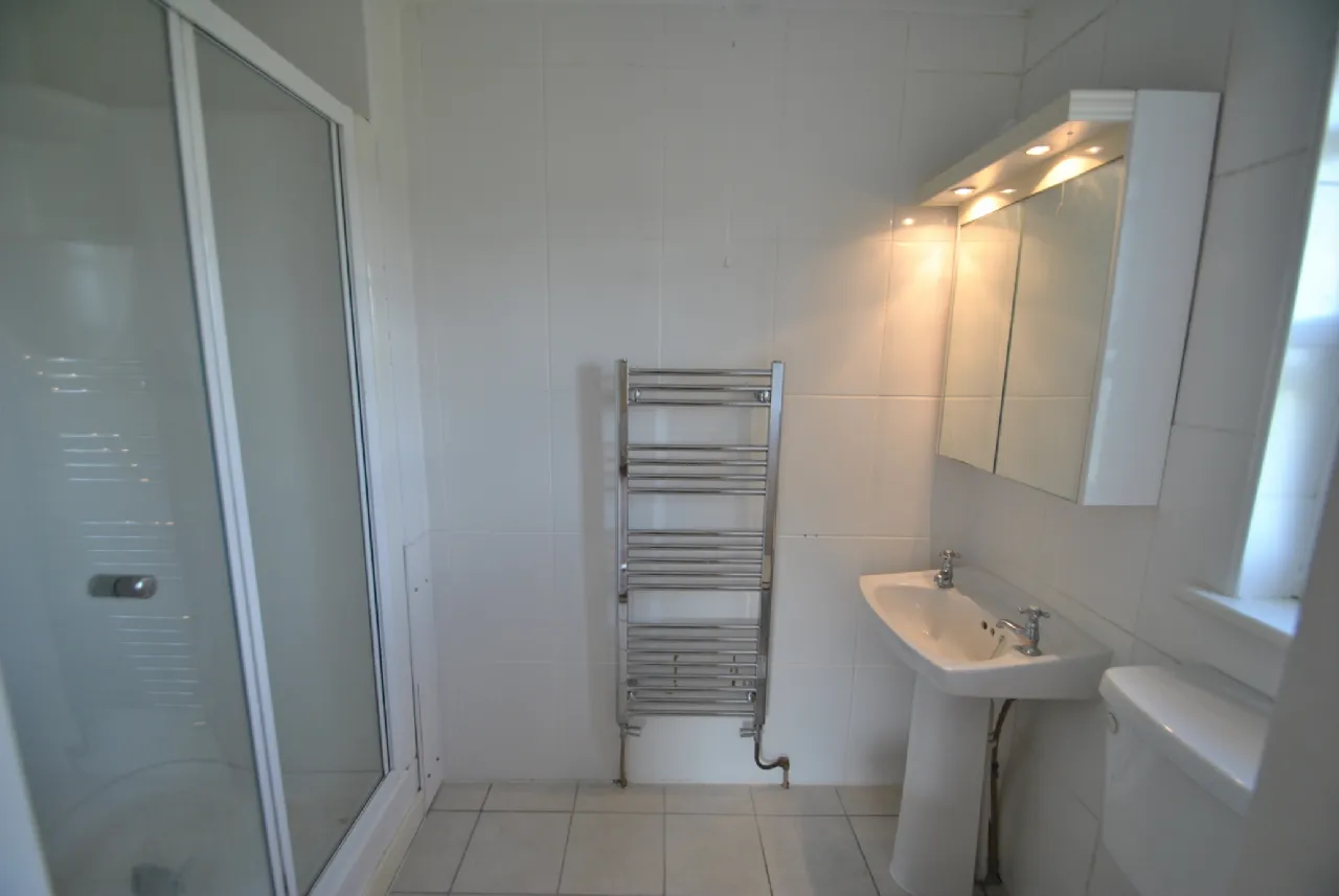 Photo of Rath House On Approx. 8.2 Acres, Ballygague, Ballacolla, Co Laois, R32 XE98