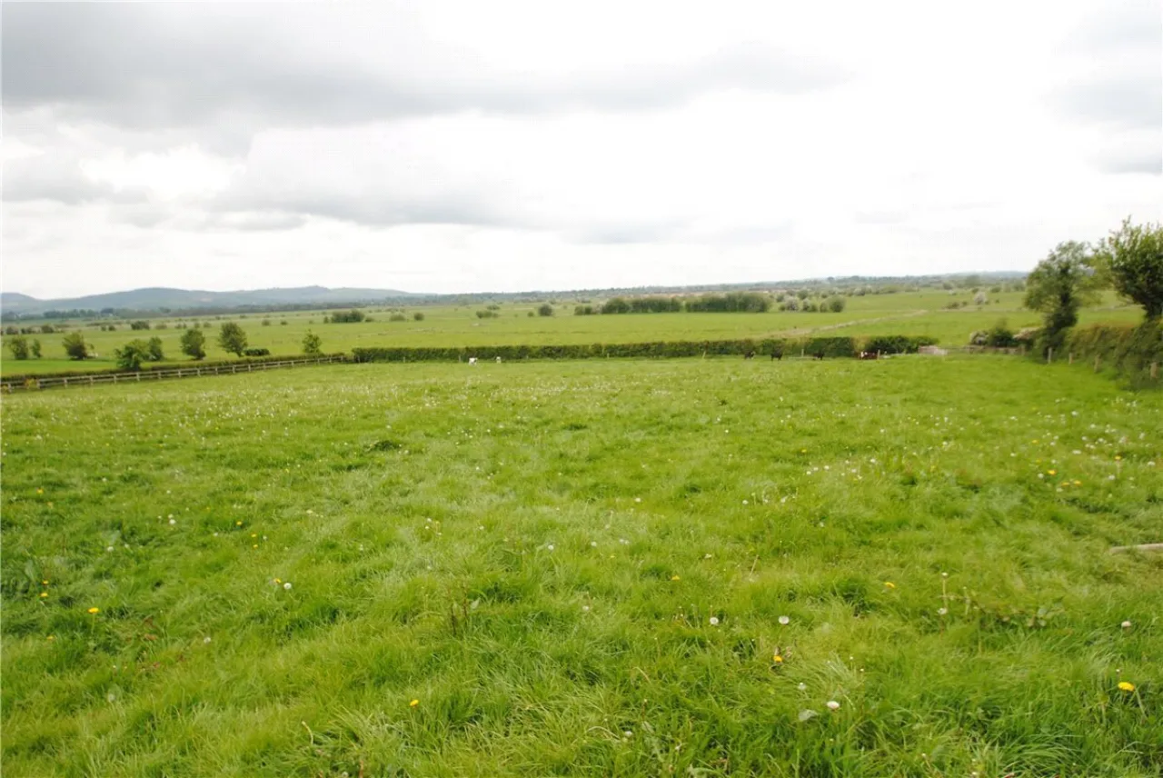 Photo of Rath House On Approx. 8.2 Acres, Ballygague, Ballacolla, Co Laois, R32 XE98