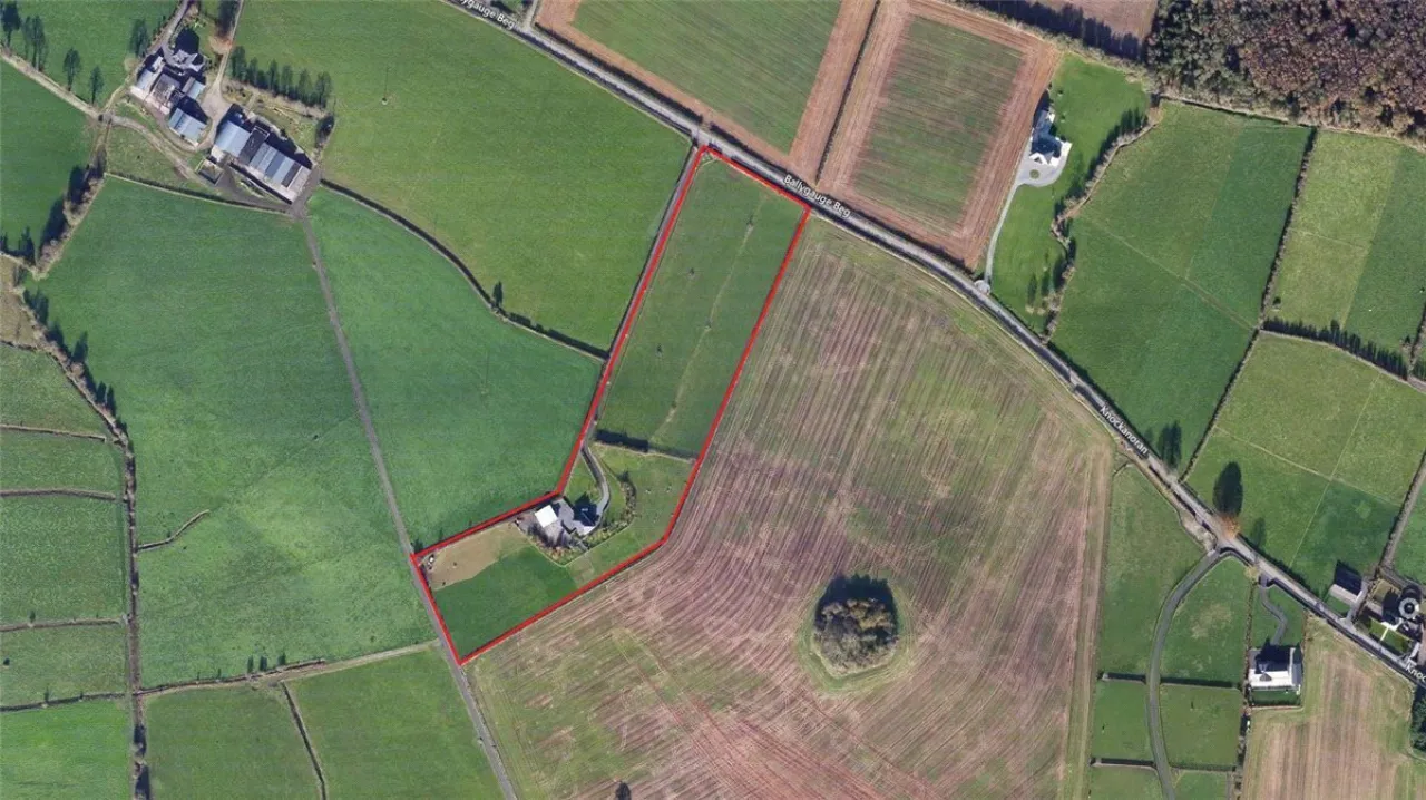 Photo of Rath House On Approx. 8.2 Acres, Ballygague, Ballacolla, Co Laois, R32 XE98