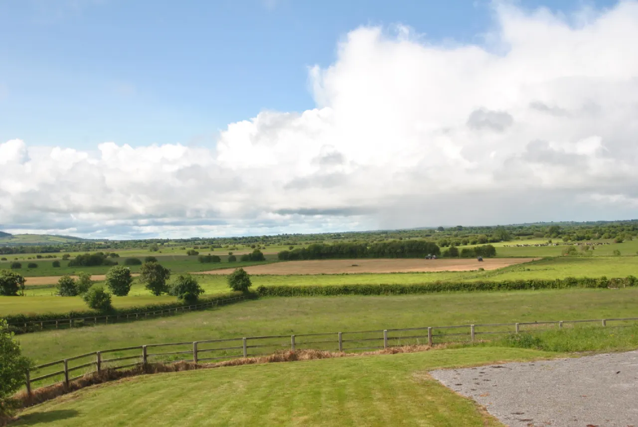 Photo of Rath House On Approx. 8.2 Acres, Ballygague, Ballacolla, Co Laois, R32 XE98