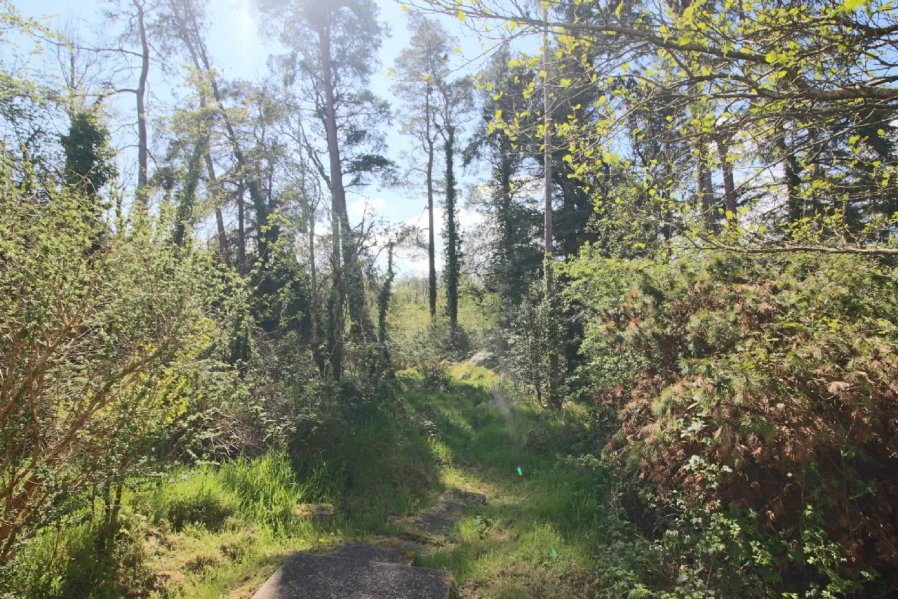 Photo of The Gateway, Modorragh, Drumkeeran, Co.Leitrim, N41 Y744