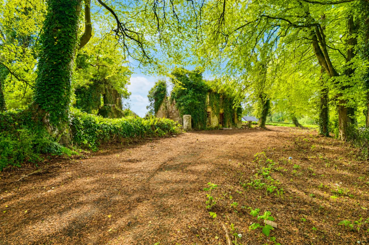 Photo of Site at Shanco, Emyvale, Co. Monaghan