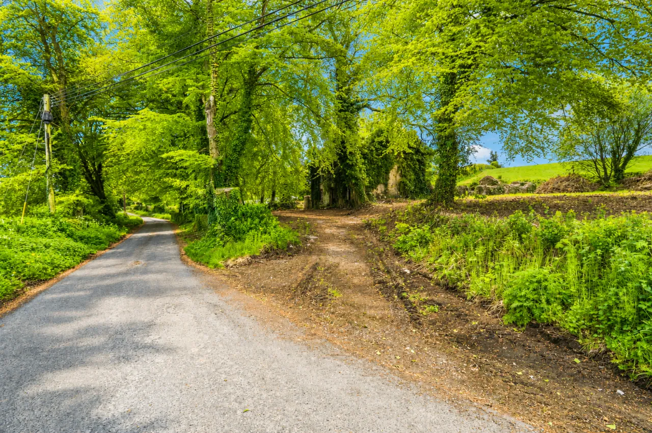 Photo of Site at Shanco, Emyvale, Co. Monaghan