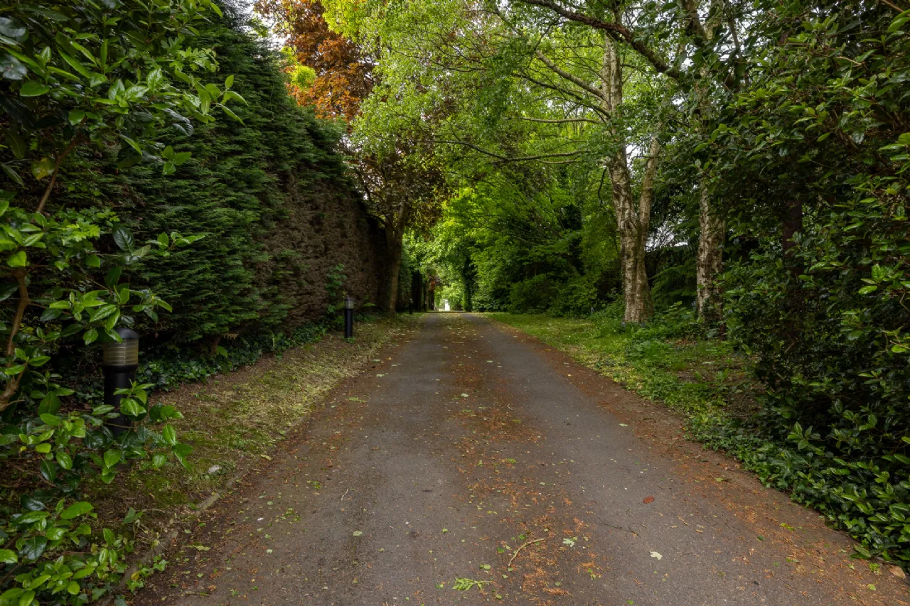 Photo of Moss Cottage, Hospital Hill, Bunclody, Co. Wexford., Y21N884