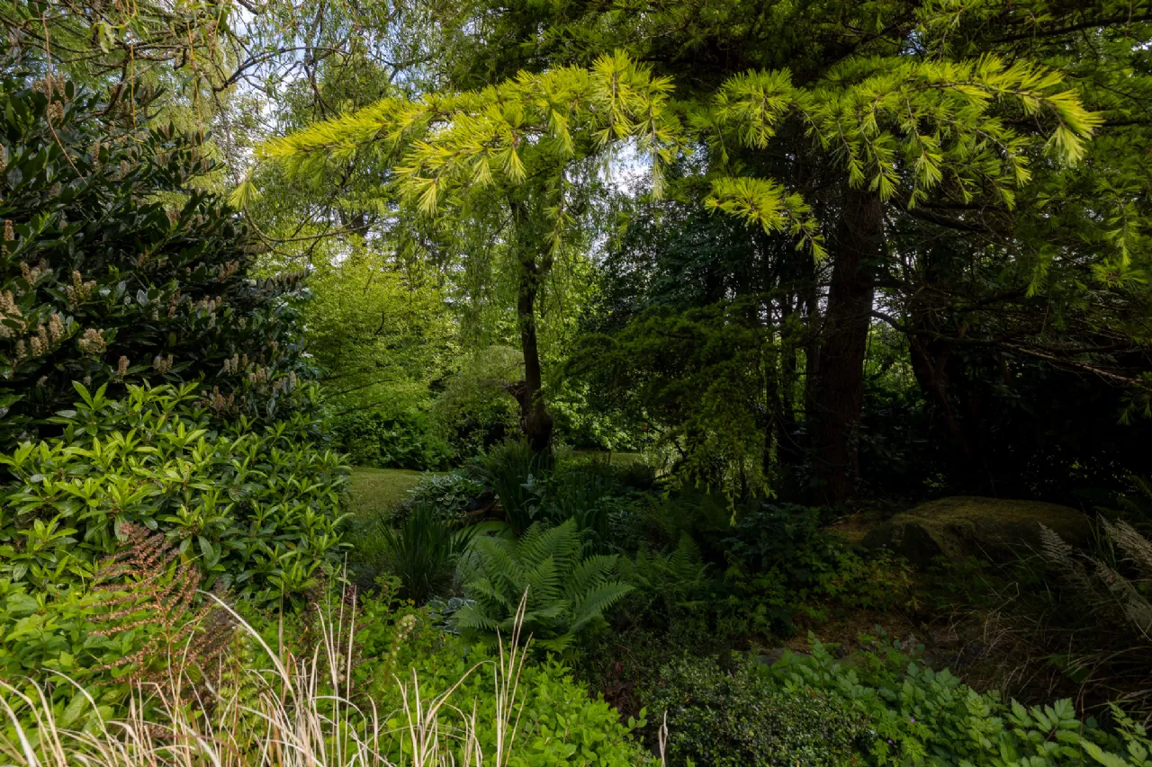 Photo of Moss Cottage, Hospital Hill, Bunclody, Co. Wexford., Y21N884