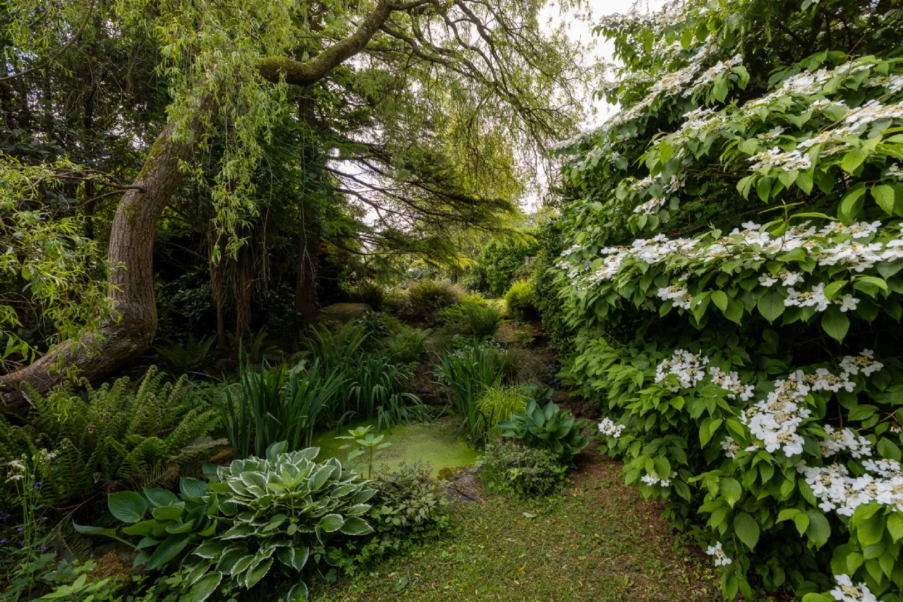 Photo of Moss Cottage, Hospital Hill, Bunclody, Co. Wexford., Y21N884