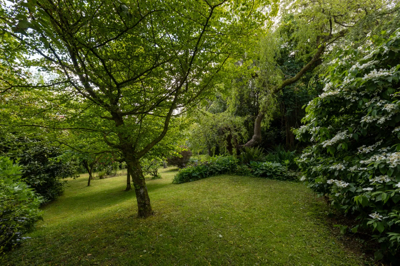 Photo of Moss Cottage, Hospital Hill, Bunclody, Co. Wexford., Y21N884