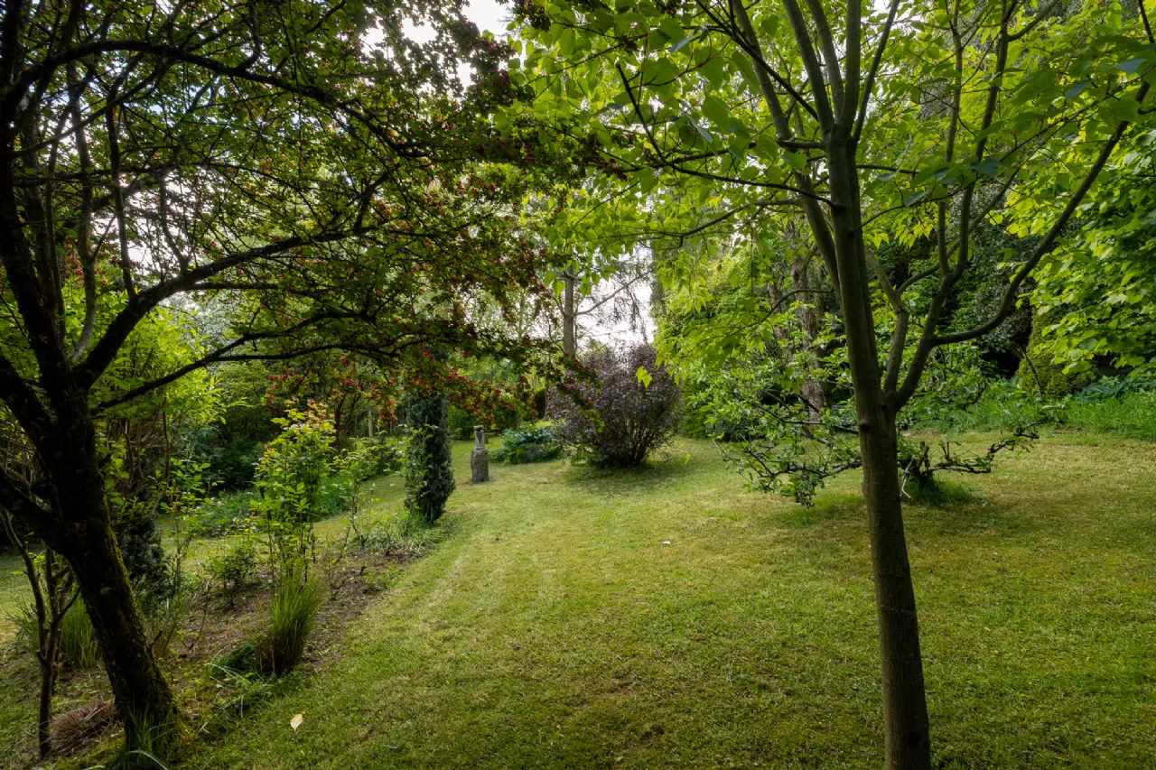 Photo of Moss Cottage, Hospital Hill, Bunclody, Co. Wexford., Y21N884