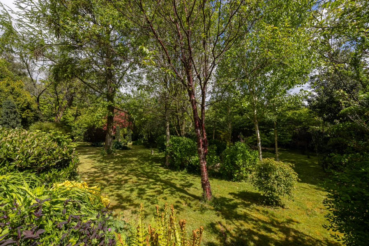 Photo of Moss Cottage, Hospital Hill, Bunclody, Co. Wexford., Y21N884