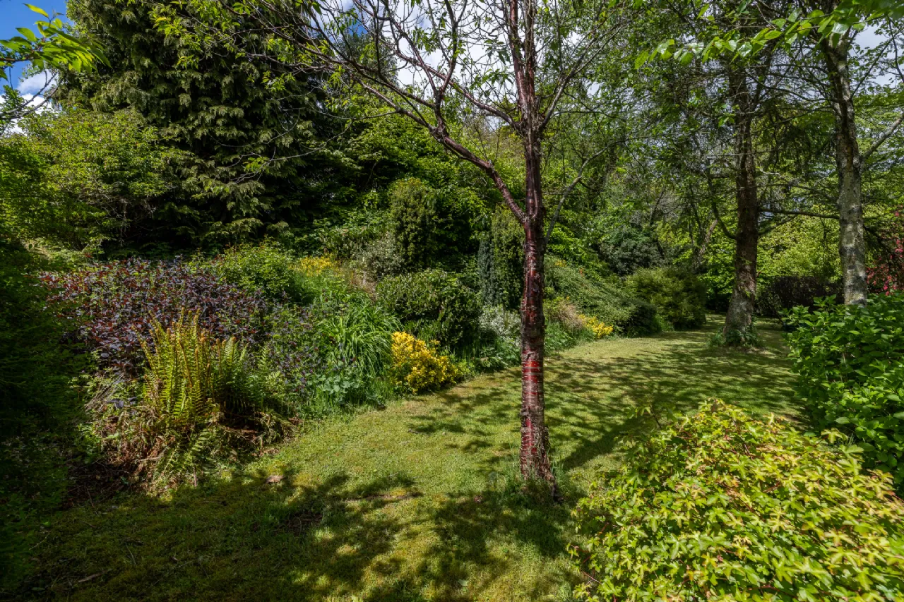 Photo of Moss Cottage, Hospital Hill, Bunclody, Co. Wexford., Y21N884