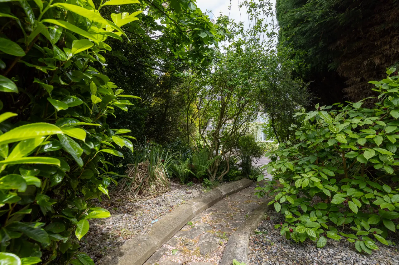 Photo of Moss Cottage, Hospital Hill, Bunclody, Co. Wexford., Y21N884