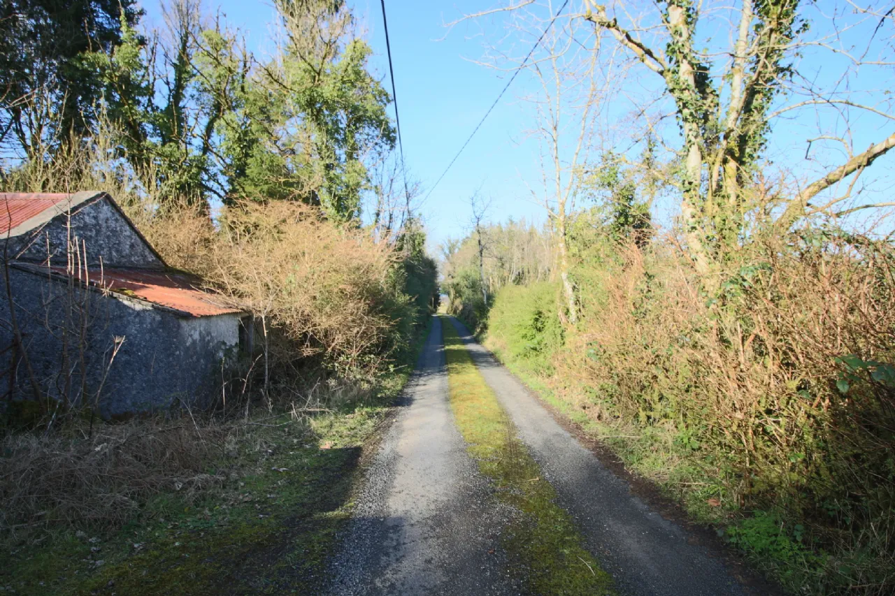 Photo of 'Moytura', Lecarrow, Ballinafad, Co. Sligo
