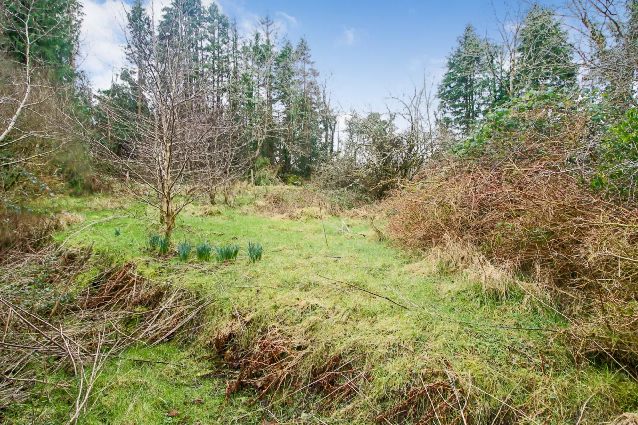 Photo of 'Moytura', Lecarrow, Ballinafad, Co. Sligo