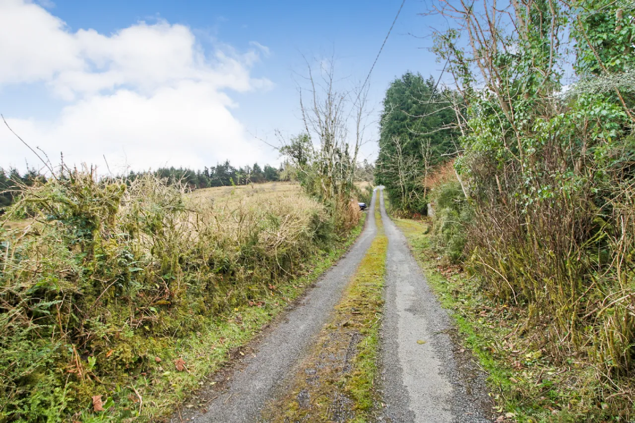 Photo of 'Moytura', Lecarrow, Ballinafad, Co. Sligo