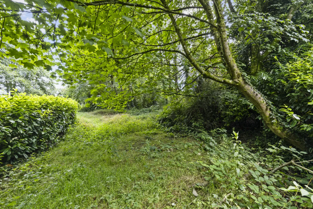 Photo of Tudor Lodge, Hermitage, Drinagh, Wexford, Y35K3H4