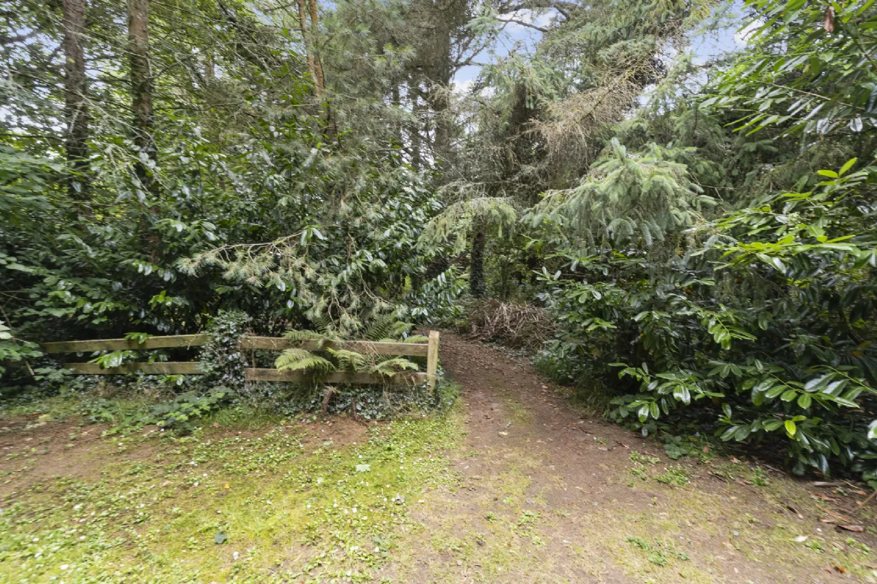 Photo of Tudor Lodge, Hermitage, Drinagh, Wexford, Y35K3H4