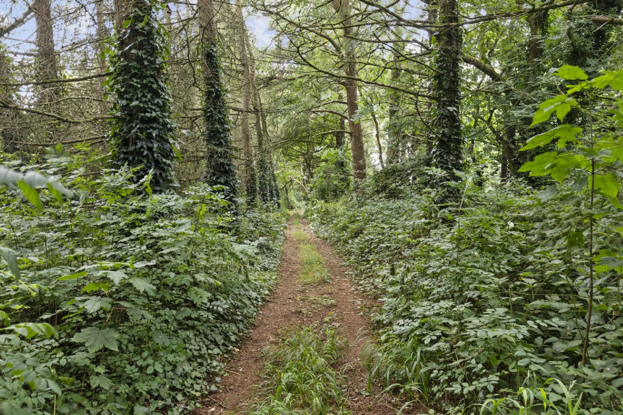 Photo of Tudor Lodge, Hermitage, Drinagh, Wexford, Y35K3H4