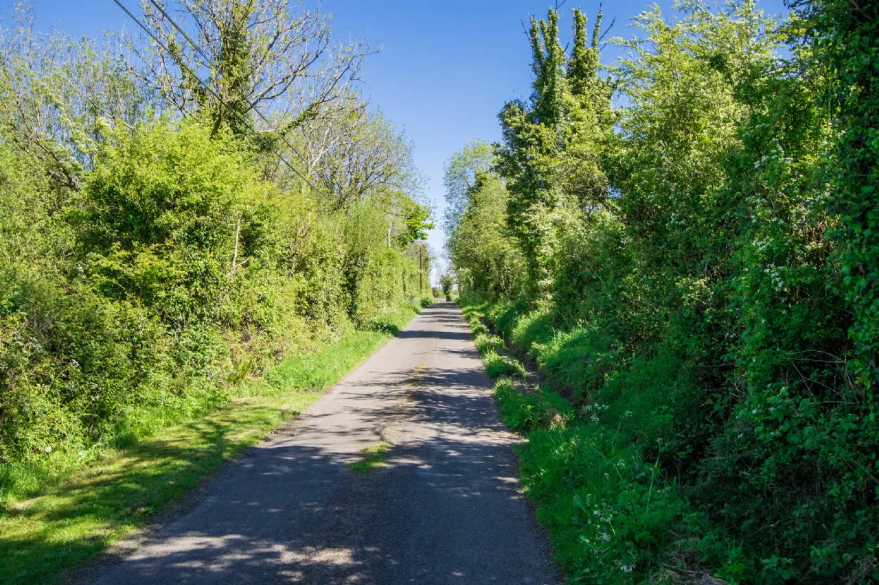 Photo of Land For Sale, Carrigeen and Kilgarve, Co. Roscommon