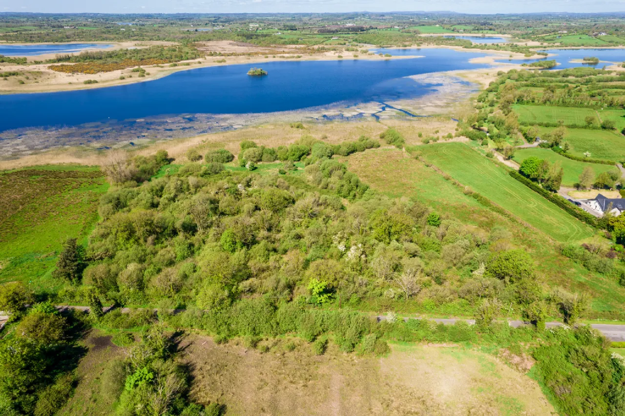 Photo of Land For Sale, Carrigeen and Kilgarve, Co. Roscommon