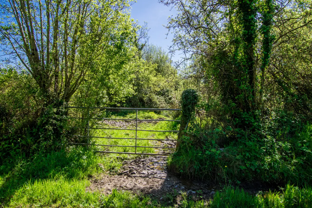 Photo of Land For Sale, Carrigeen and Kilgarve, Co. Roscommon