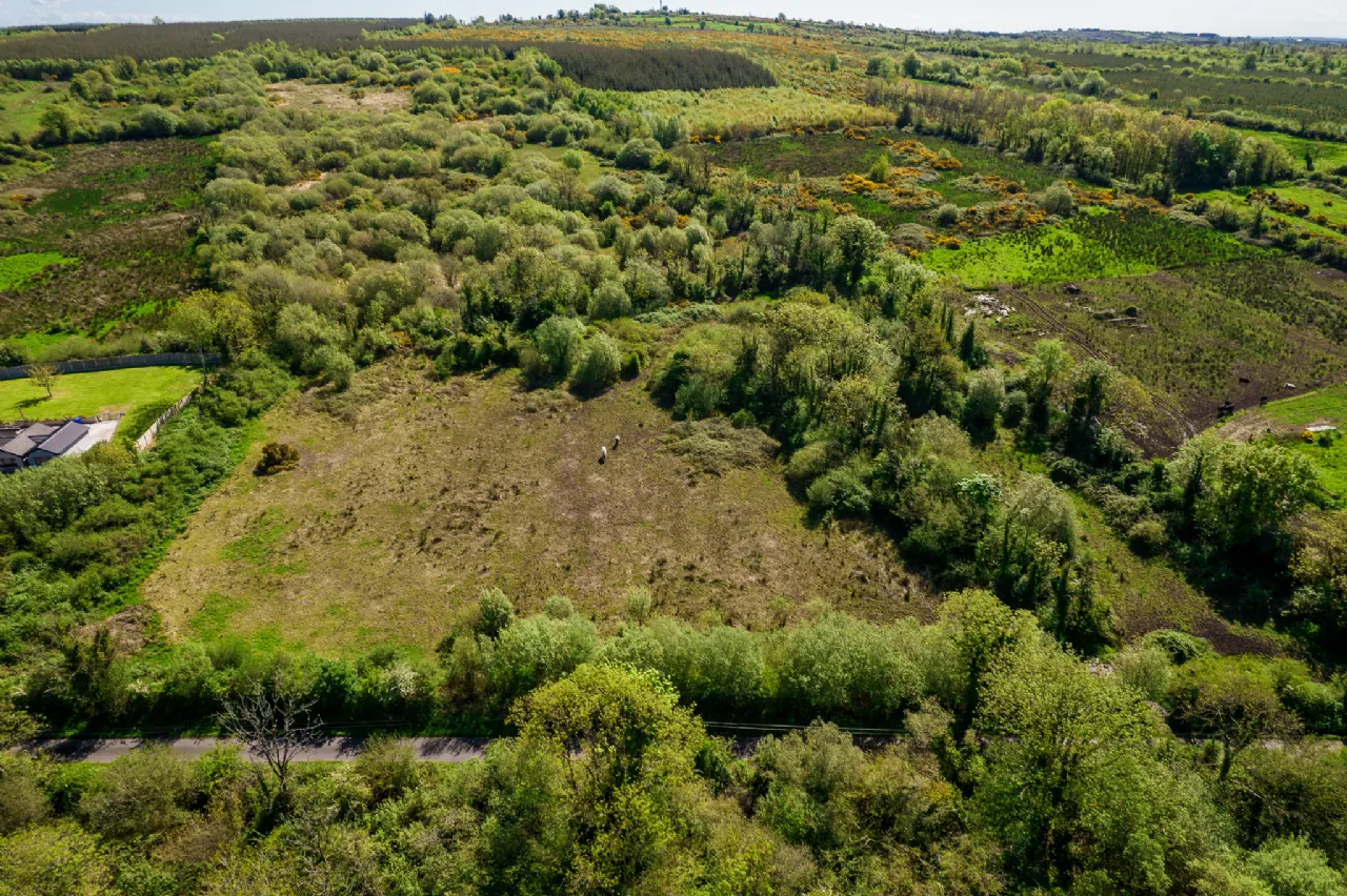 Photo of Land For Sale, Carrigeen and Kilgarve, Co. Roscommon
