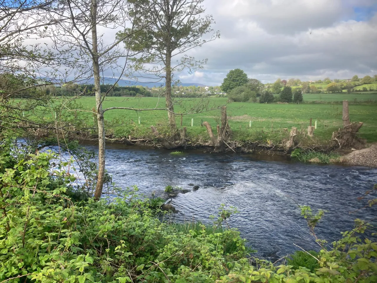 Photo of Abbeydown, Clonegal, Enniscorthy, Co. Wexford, Y21 YX21