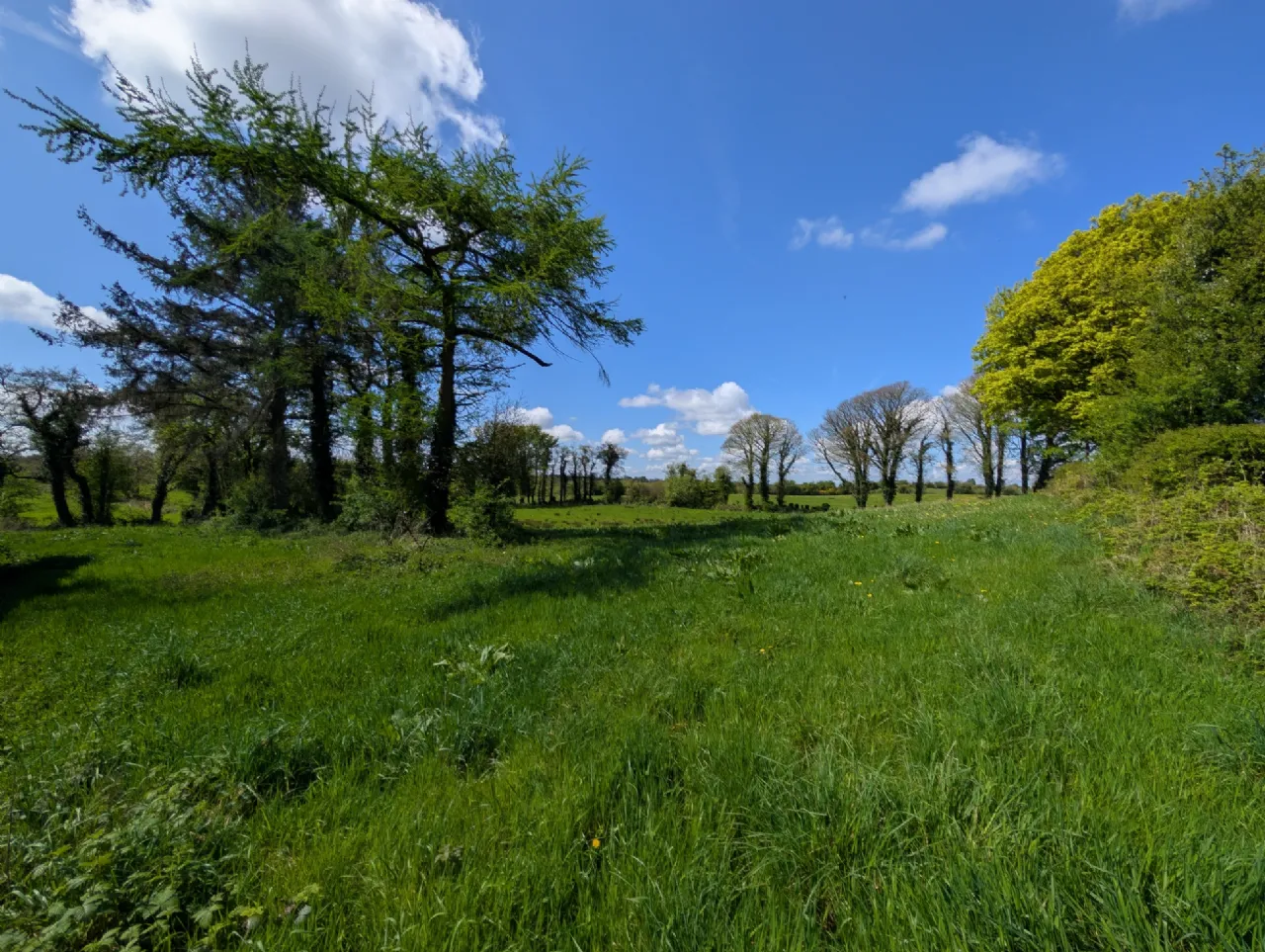 Photo of Garryredmond, Claremorris, Co Mayo