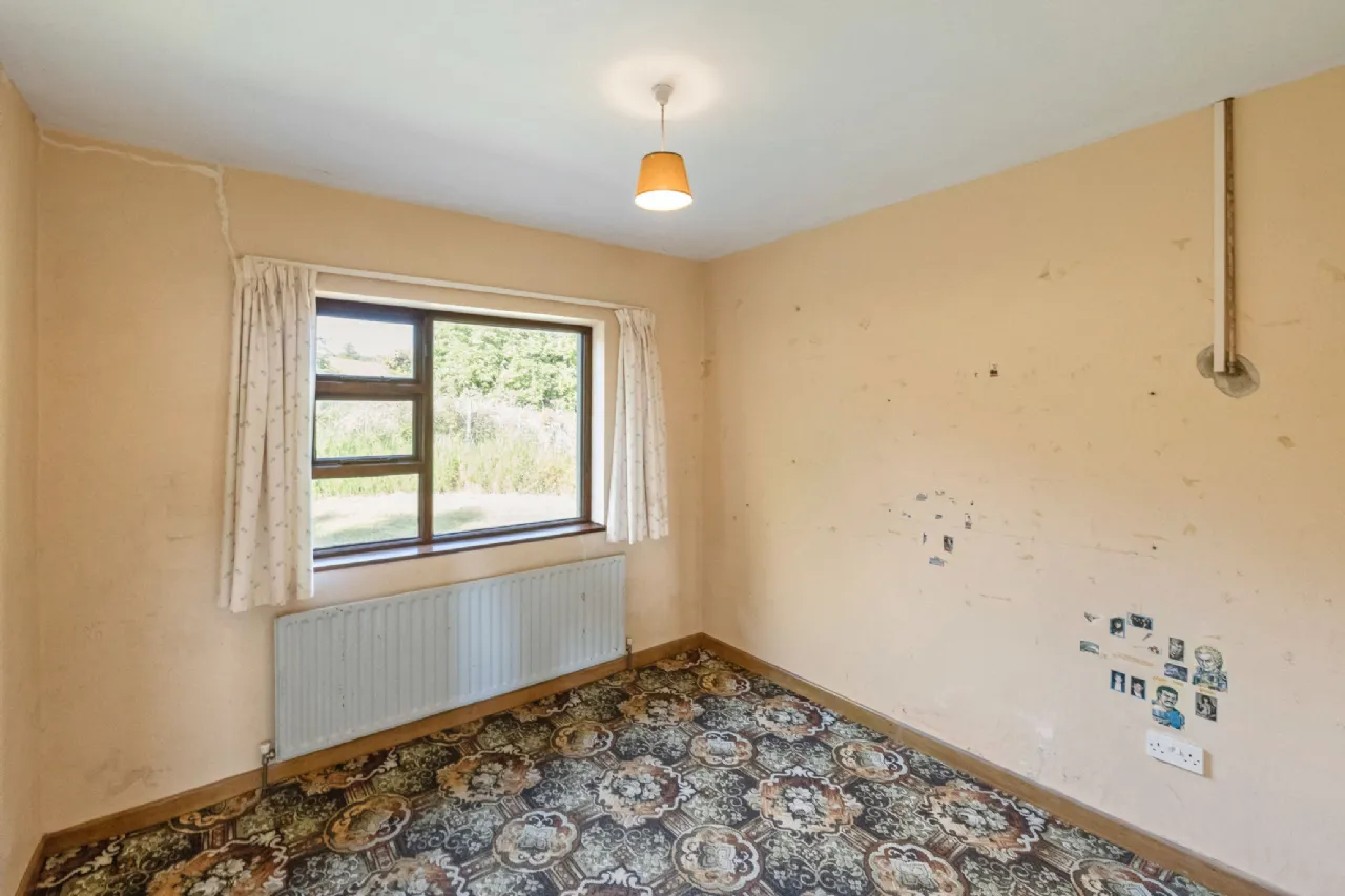 Photo of Saoirse, Upper Jenkinstown, Co. Louth, A91 DH77