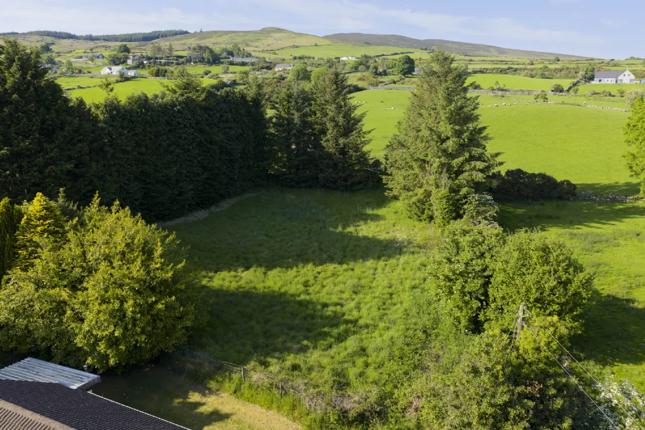 Photo of Saoirse, Upper Jenkinstown, Co. Louth, A91 DH77