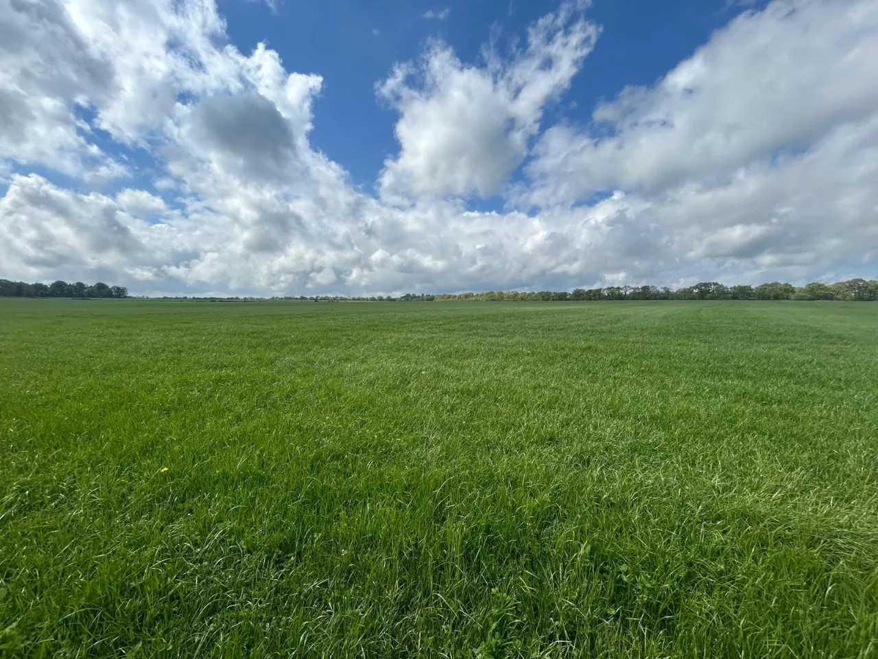 Photo of 112 Acre Non Residential Holding, Lisnagar Demesne, Rathcormac, Co. Cork