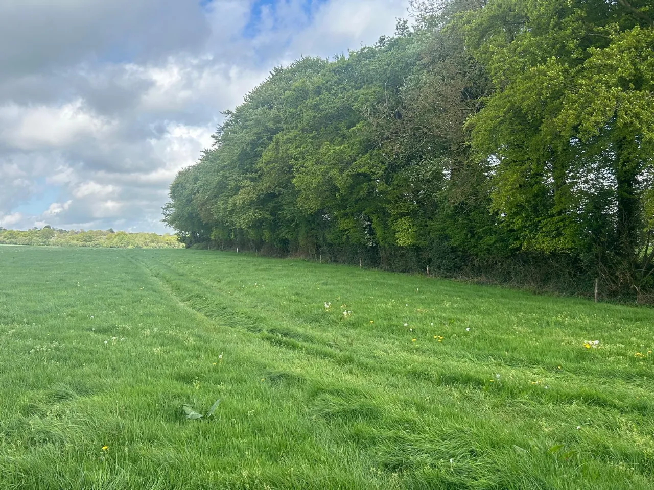 Photo of 112 Acre Non Residential Holding, Lisnagar Demesne, Rathcormac, Co. Cork