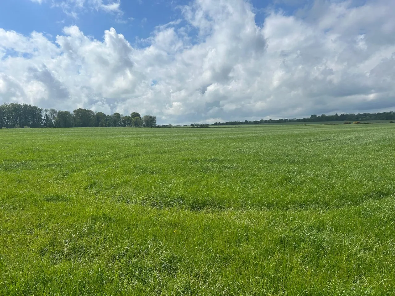 Photo of 112 Acre Non Residential Holding, Lisnagar Demesne, Rathcormac, Co. Cork