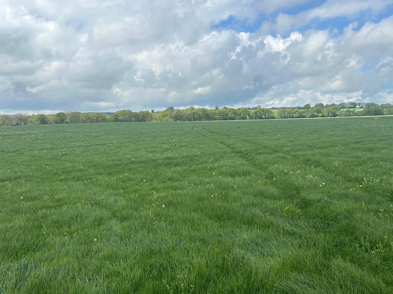 Photo of 112 Acre Non Residential Holding, Lisnagar Demesne, Rathcormac, Co. Cork