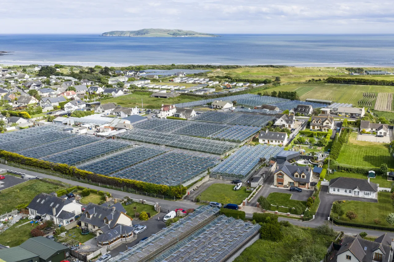 Photo of House and Glasshouses, Sundrive Road, Rush, Co. Dublin, K56 FH32