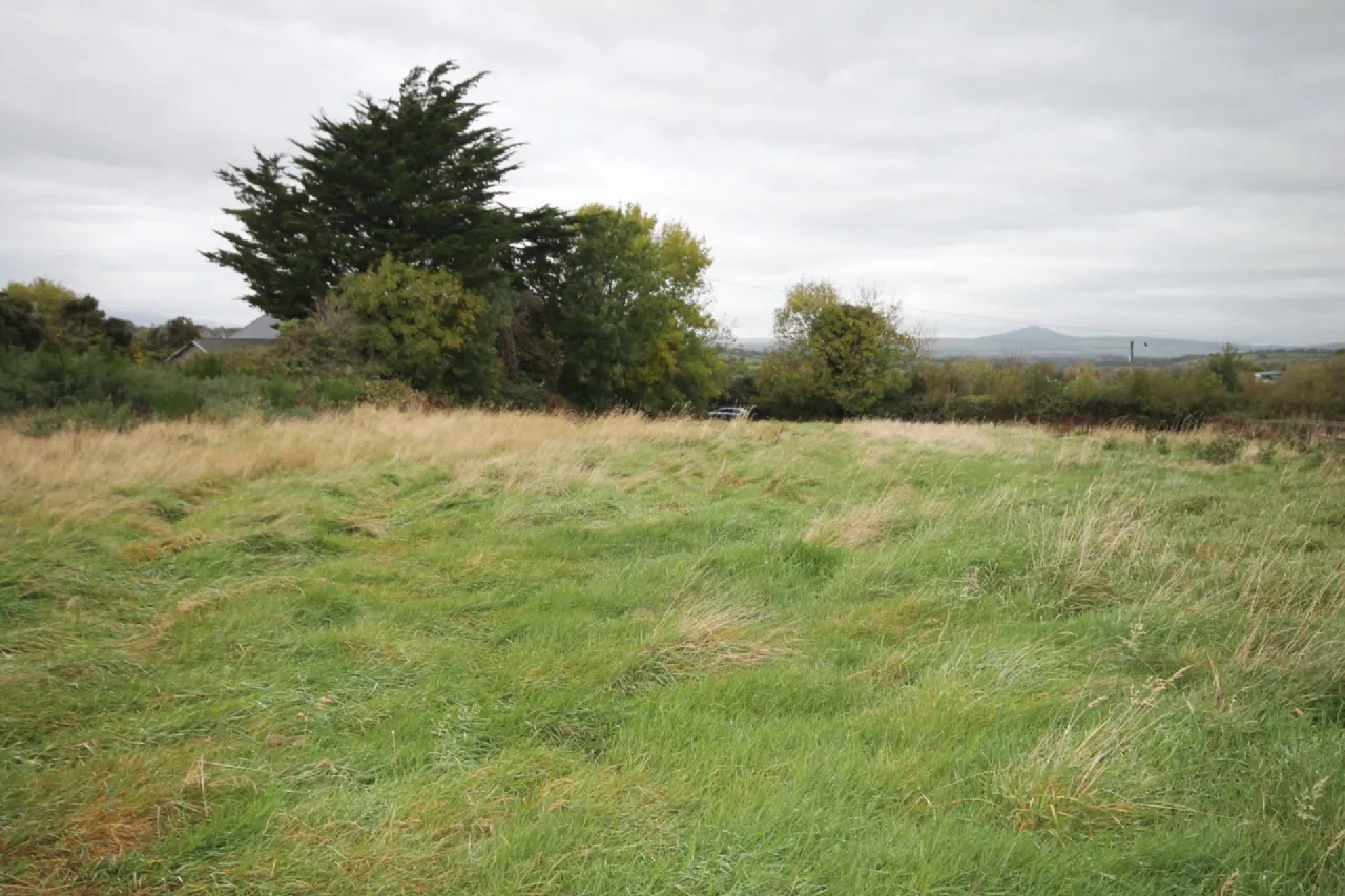 Photo of Site B, Raheendarrig, Monamolin, Gorey, Co. Wexford