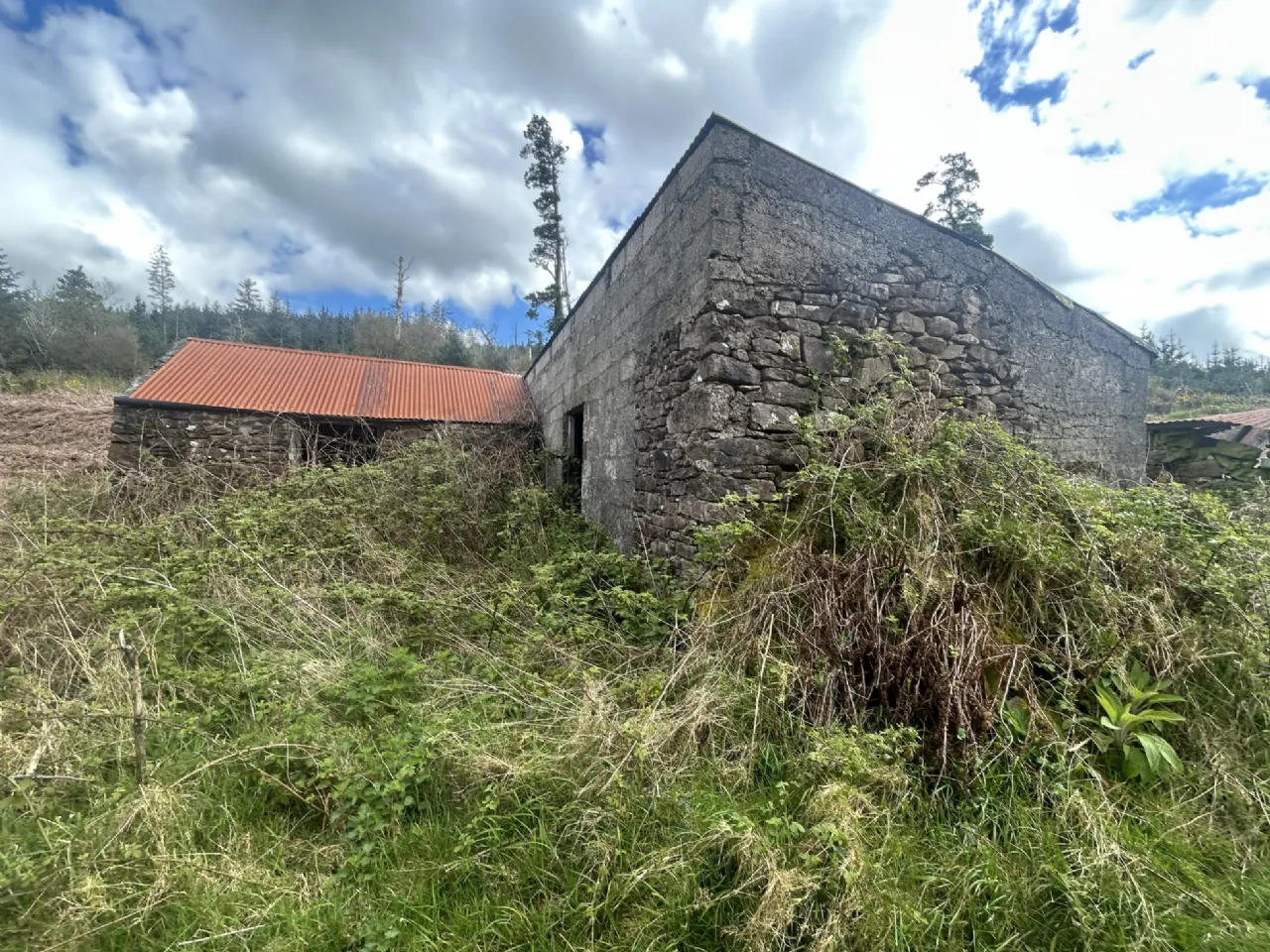 Photo of 51.6 Acre Residential Holding, Knockwatear, Killavullen, Co. Cork, P51 E0E4