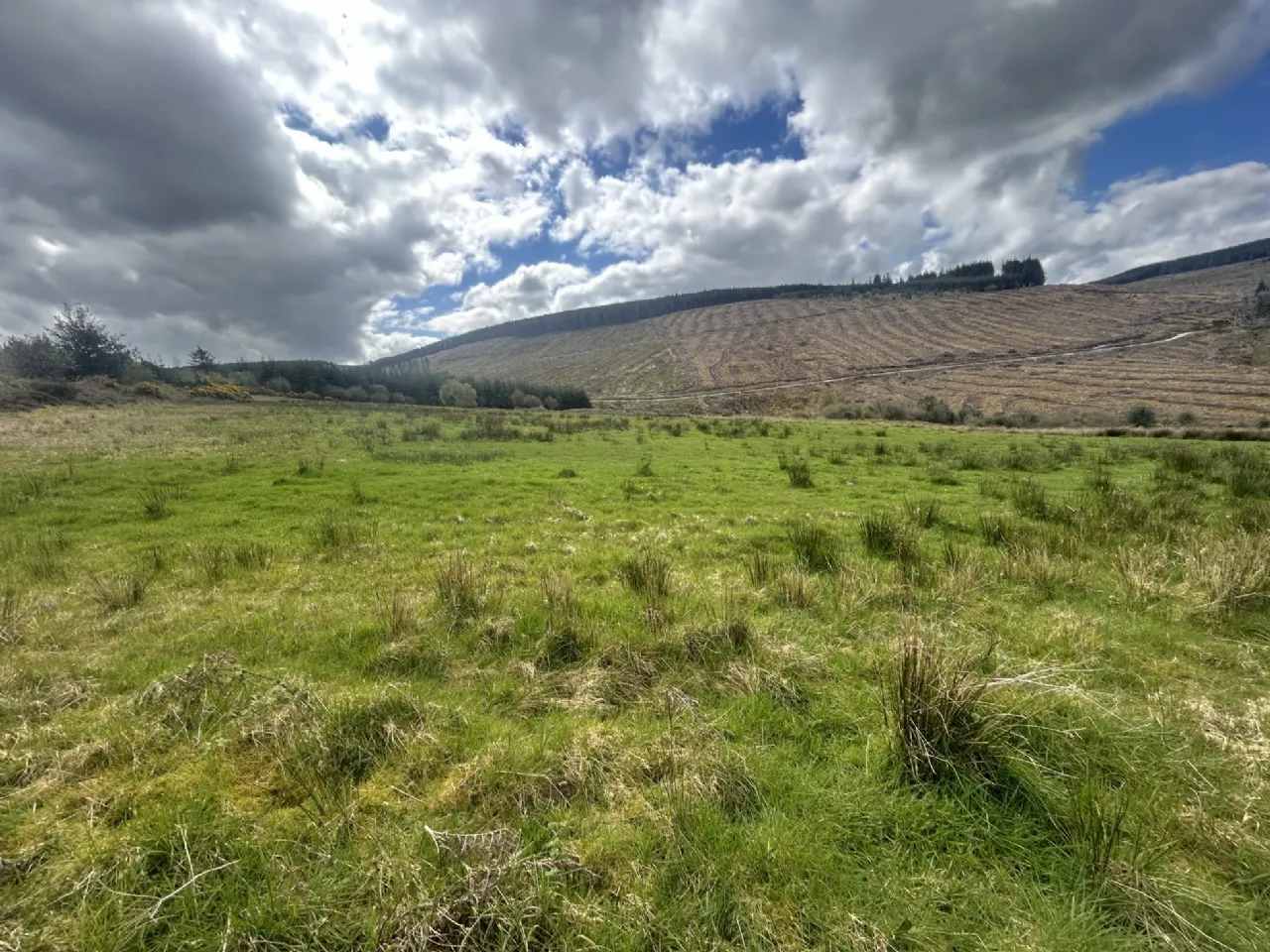 Photo of 51.6 Acre Residential Holding, Knockwatear, Killavullen, Co. Cork, P51 E0E4
